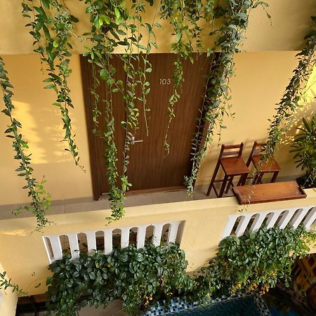 The View Homestay Hoi An Eksteriør bilde